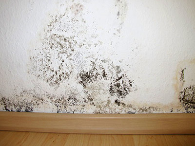 Schimmelbildung an einer Wand.